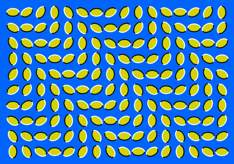 rice wave illusion